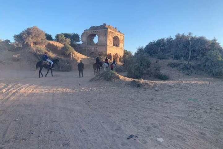 Gallop the Sands: Horseback Riding on Essaouira Beach with Transport photo 4