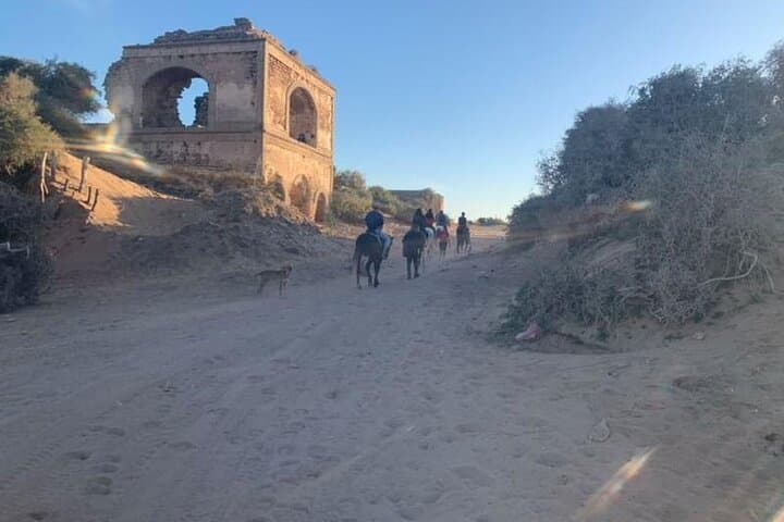 Gallop the Sands: Horseback Riding on Essaouira Beach with Transport photo 6