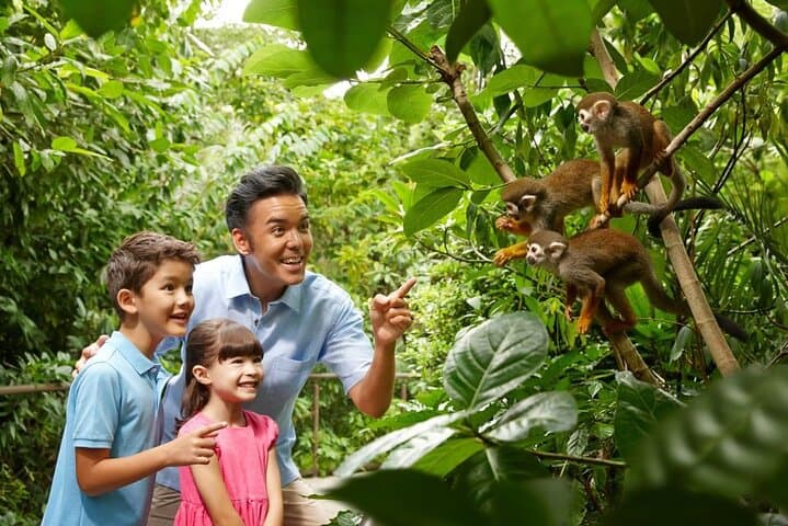 Singapore Zoo Visitor Guide: Wildlife Encounters, Practical Tips & Full-Day Plan