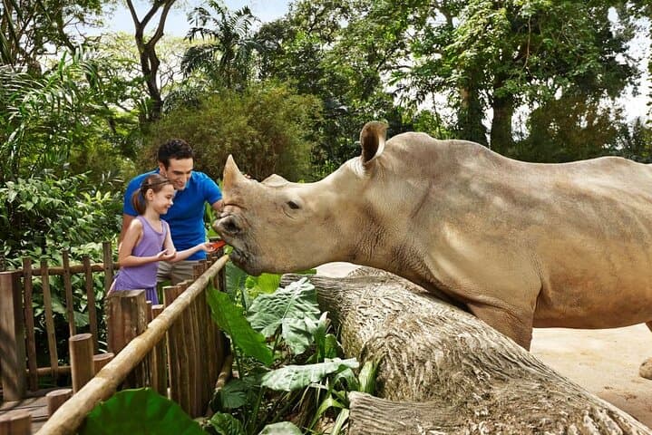 Singapore Zoo Visitor Guide: Wildlife Encounters, Practical Tips & Full-Day Plan photo 3