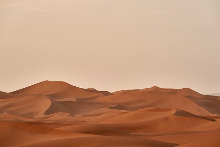 Abu Dhabi Desert Safari: Dune Bashing, Camel Rides, VIP Dinner & Live Shows photo 2