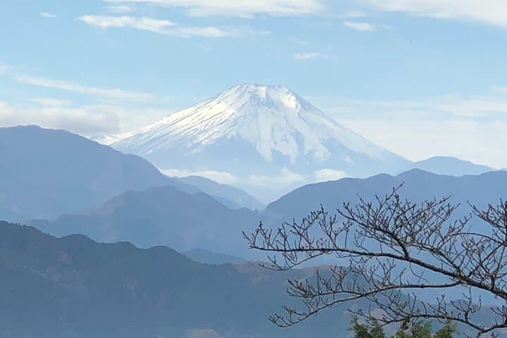 Mt. Takao Guided Hike to Yakuoin and Summit Views