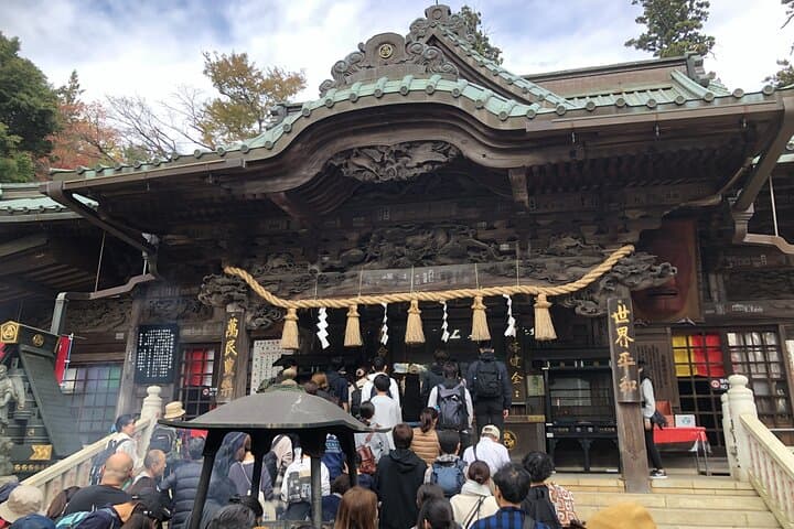 Mt. Takao Guided Hike to Yakuoin and Summit Views photo 2