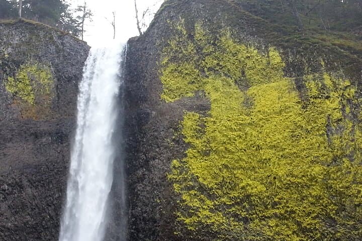 Afternoon Multnomah Falls & Columbia River Gorge Waterfalls Tour photo 2