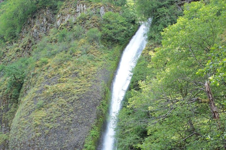 Afternoon Multnomah Falls & Columbia River Gorge Waterfalls Tour photo 5