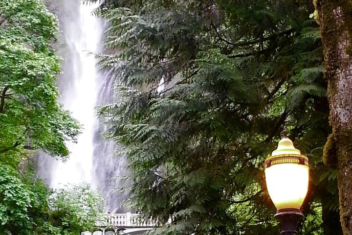 Morning Multnomah Falls & Columbia Gorge Waterfalls Tour from Portland photo 5