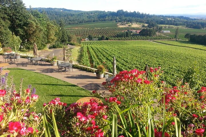 Private Willamette Valley Wine Tasting Tour from Portland photo 5