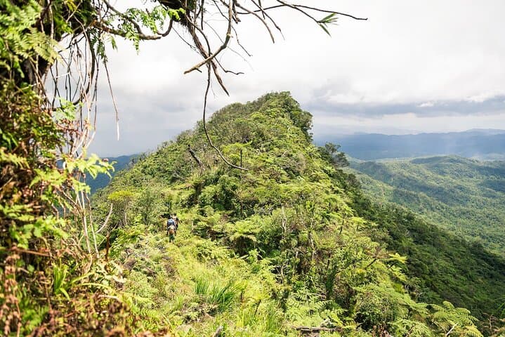 Hike Fiji's Highest Peak: 4-Day Mt Tomanivi Trek with Village Homestays