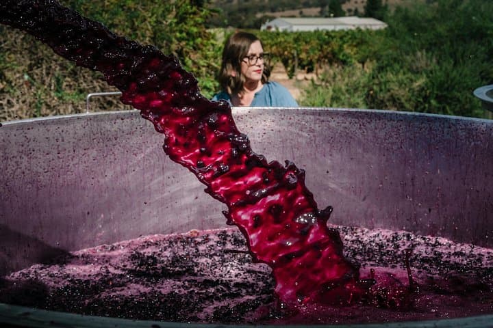 Private Full-Day Barossa Valley Wine Tour from Adelaide: Tastings & Gourmet Lunch photo 4