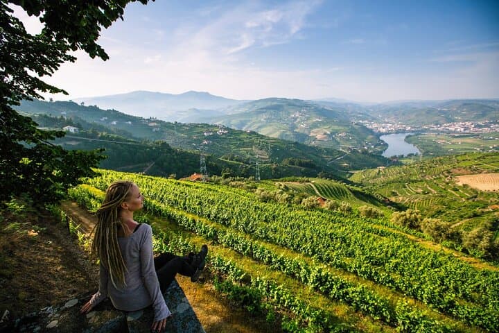 Douro Valley Delights: Full-Day Wine Tasting & Scenic Vistas from Porto photo 2