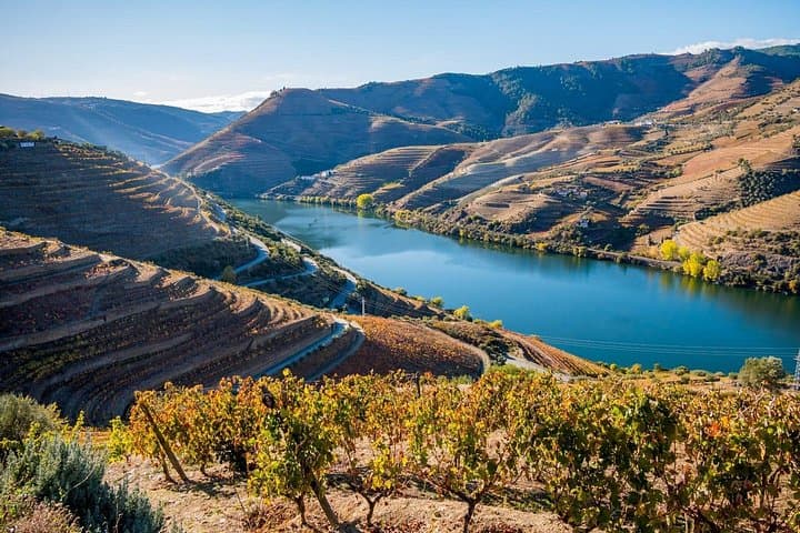 Douro Valley Delights: Full-Day Wine Tasting & Scenic Vistas from Porto photo 3