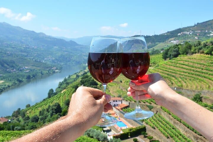 Douro Valley Delights: Full-Day Wine Tasting & Scenic Vistas from Porto photo 1