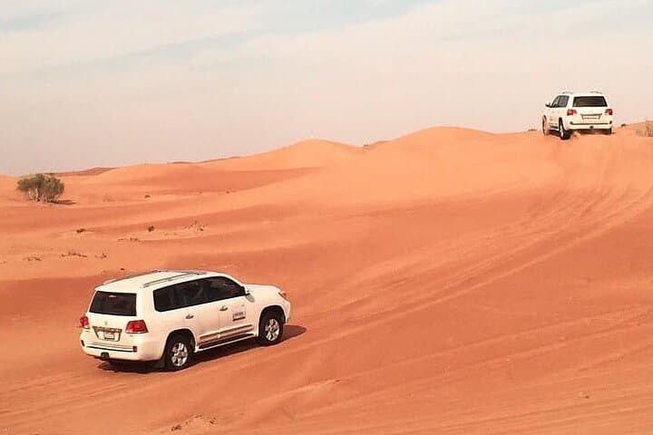 Dubai Desert Safari with BBQ Dinner, Dune Bashing & Live Shows photo 3