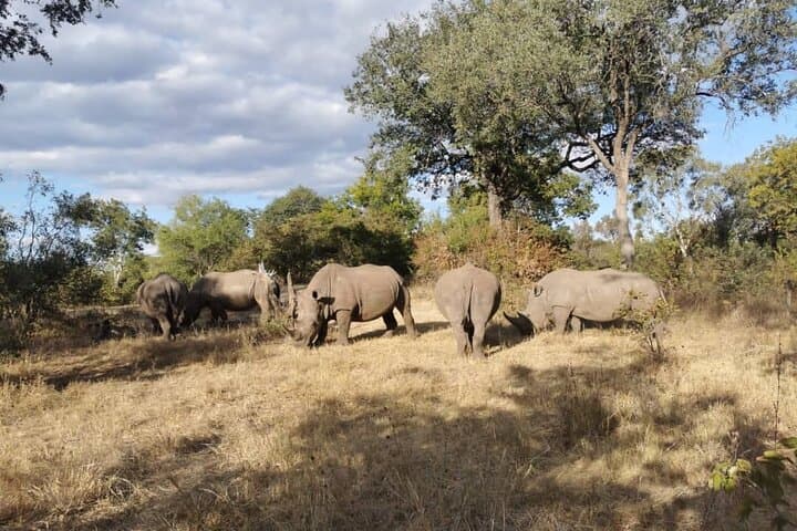 Both Sides Victoria Falls & Rhino Walk: Livingstone Combo Safari photo 6
