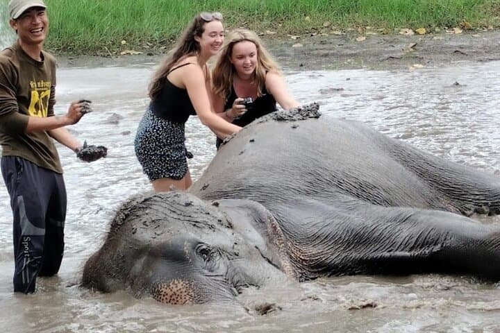 Erawan Waterfall & Elephant Care Day Trip from Bangkok photo 5