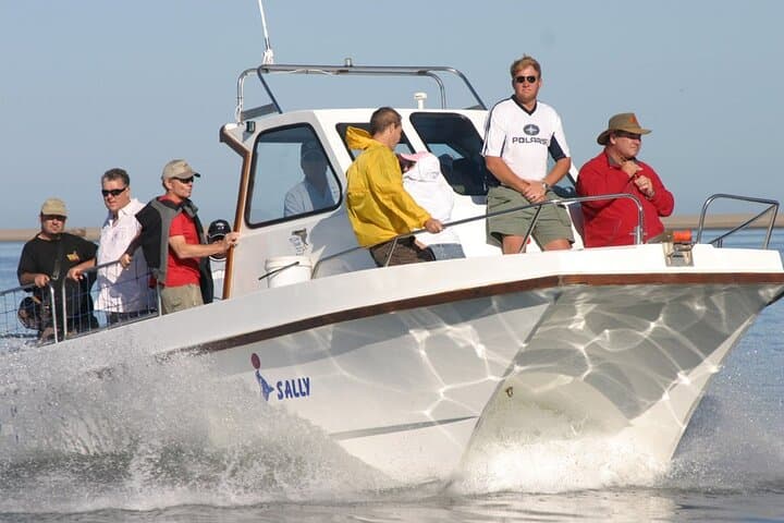 Walvis Bay Marine Dune Day: Catamaran Cruise & Sandwich Harbor Dune Drive