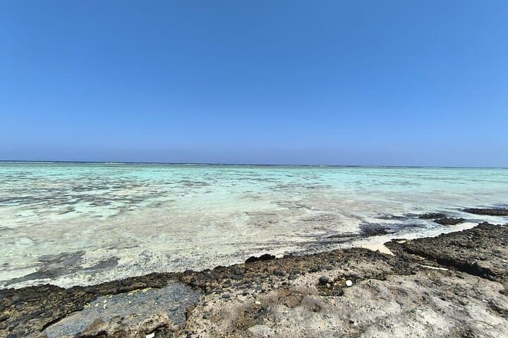 Snorkel El Qulan & Sharm El Luli: Half-Day Red Sea Mangroves and Reefs photo 6