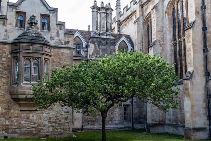 Private Day Tour of Cambridge: Punting, Colleges & Eagle Pub Lunch photo 5
