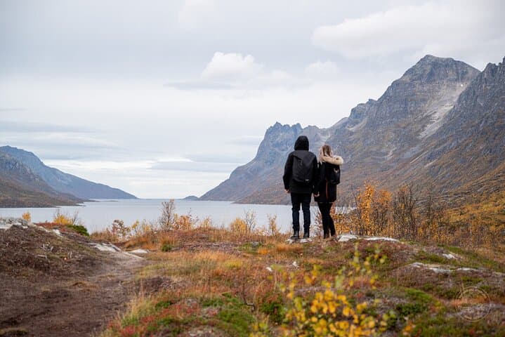 Small-Group Arctic Fjords Road Trip from Tromsø with Scenic Picnic photo 4