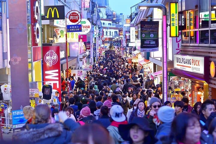 Tokyo in a Day — Private Full-Day Tour of Shrines, Temples, Skytree & Culture photo 6
