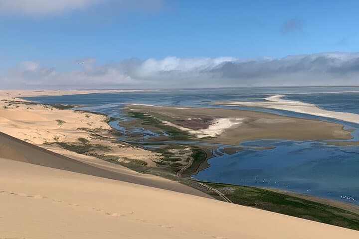 Master the Dunes: A Guided 4WD Self-Drive Adventure in Sandwich Harbor photo 5