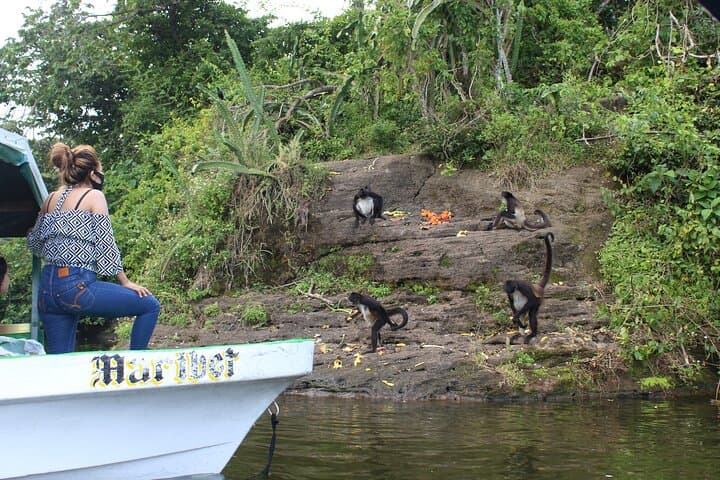 Catemaco and Los Tuxtlas Day Tour: Eyipantla Falls, Olmec Head & Lake Boat Trip photo 3