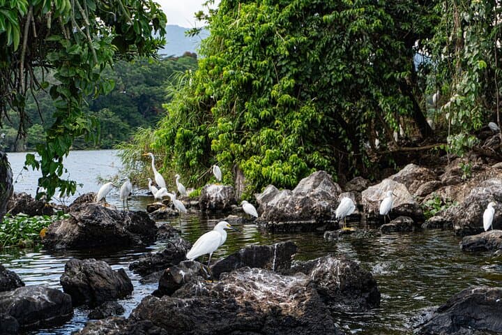 Catemaco and Los Tuxtlas Day Tour: Eyipantla Falls, Olmec Head & Lake Boat Trip photo 5