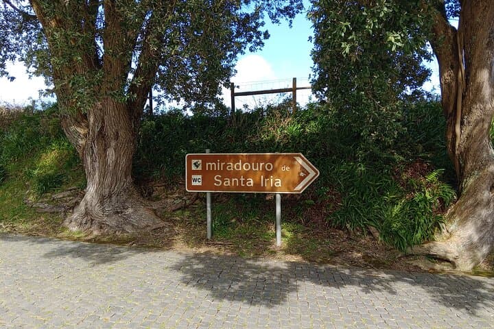 Furnas Hot Springs & Cozido Day Tour from Ponta Delgada photo 2