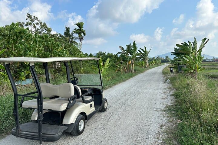 Sunset Buggy Ride Through Balik Pulau Paddy Fields — Penang Off-Road Experience photo 6
