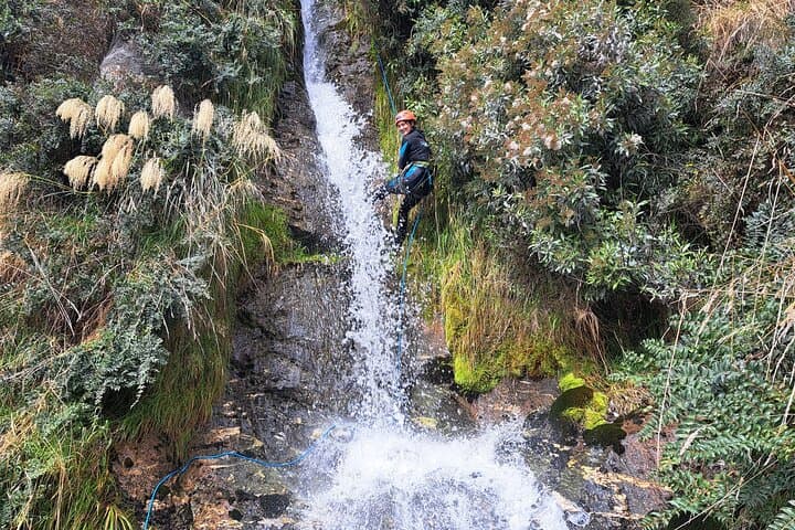 Waterfall Climb and Canyon Tour near Wanaka — Rappel Twin Falls and Explore a Matagouri-Clad Gorge photo 3