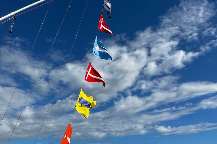 Kona Deep Sea Fishing Adventure: Reel in Trophy Catch off Hawaii’s Coast photo 5