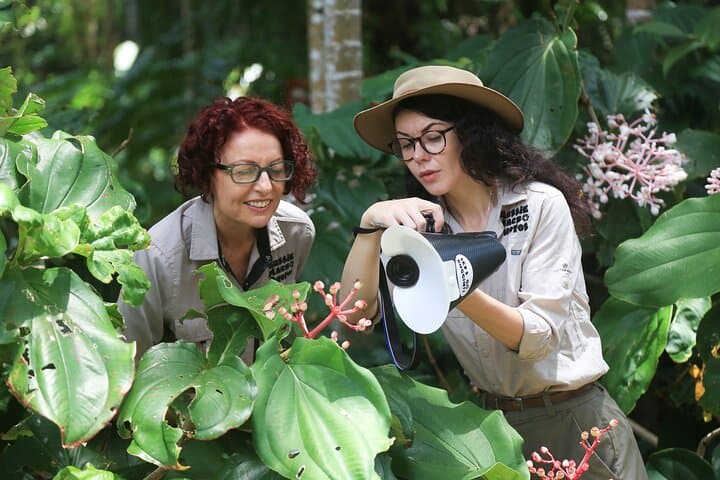 Macro Photography Tour in Cairns Botanic Gardens — Let's Go Buggin photo 2