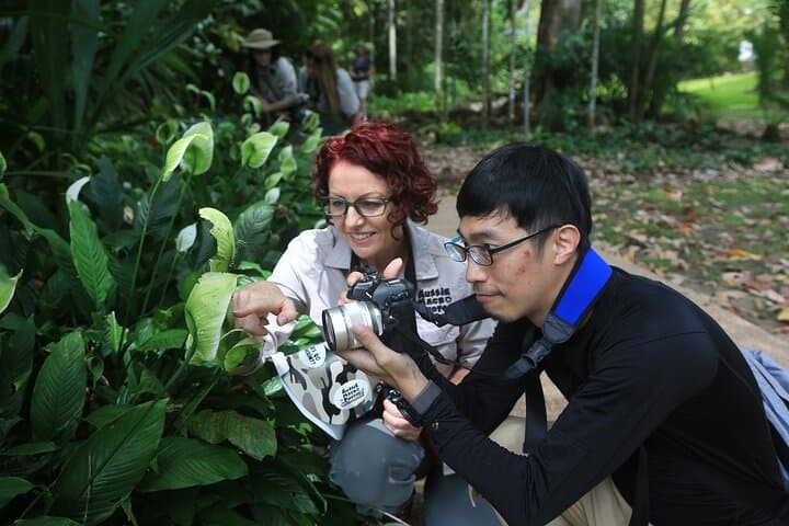 Macro Photography Tour in Cairns Botanic Gardens — Let's Go Buggin photo 4