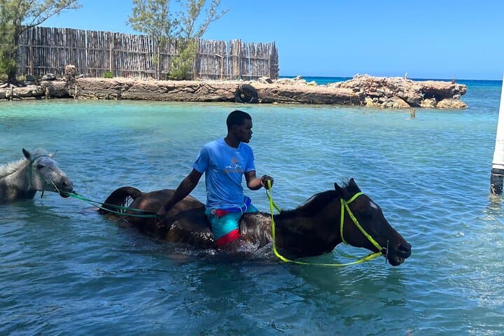 Montego Bay Bamboo Rafting and Horseback Swim — Great River Raft & Beach Ride