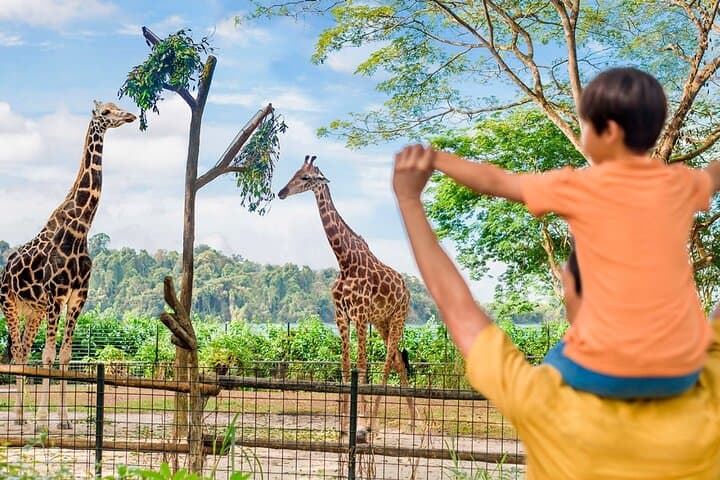 Singapore Zoo Visitor Guide: Wildlife Encounters, Practical Tips & Full-Day Plan photo 2