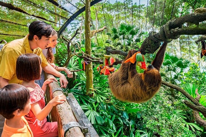 Singapore Zoo Visitor Guide: Wildlife Encounters, Practical Tips & Full-Day Plan photo 4