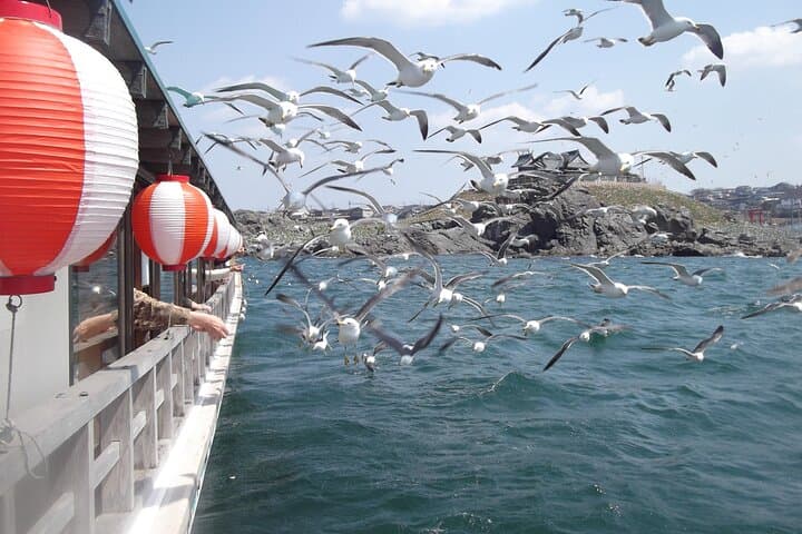 Hachinohe Yakatabune Harbor Cruise: Lantern-Lit Boat Tour & Kabushima Gull Viewing photo 5
