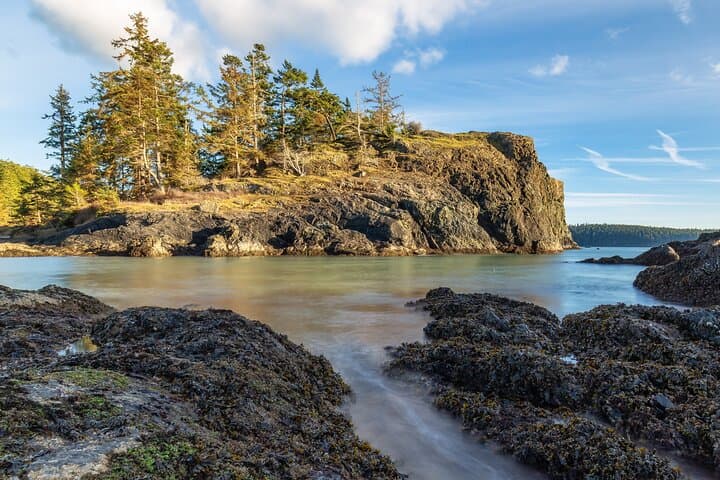 Private Whidbey Island & Deception Pass Day Trip from Seattle