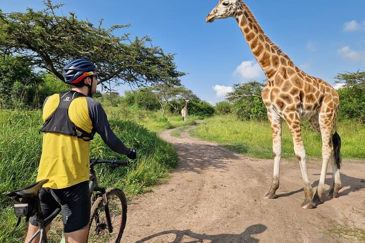 Cycling Safari at Lake Mburo: 2-Day Biking Adventure Among Wildlife