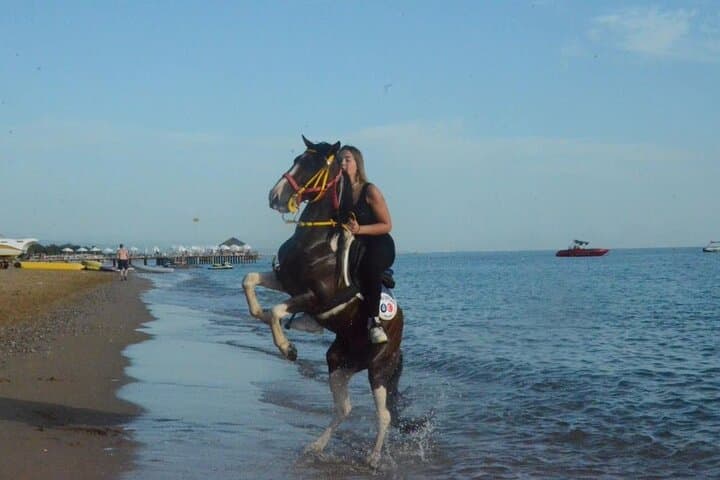 Horse Riding in Manavgat: Forest and Beach Trail from Side photo 6