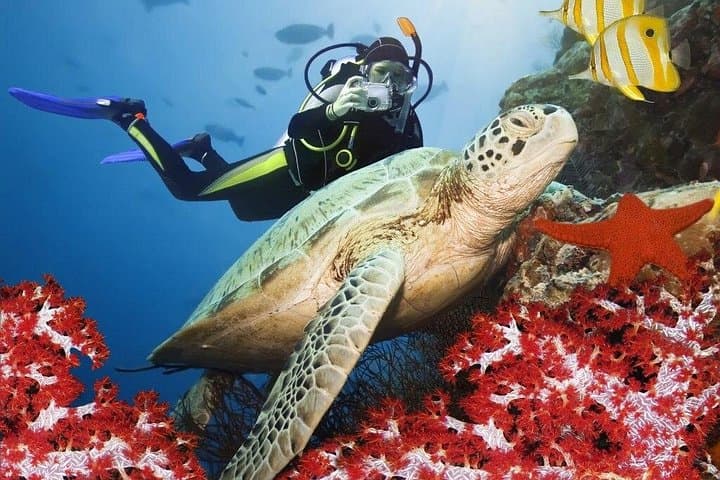 Scuba Diving in Alanya: Two-Tank Boat Dive with Lunch & Hotel Transfer photo 2