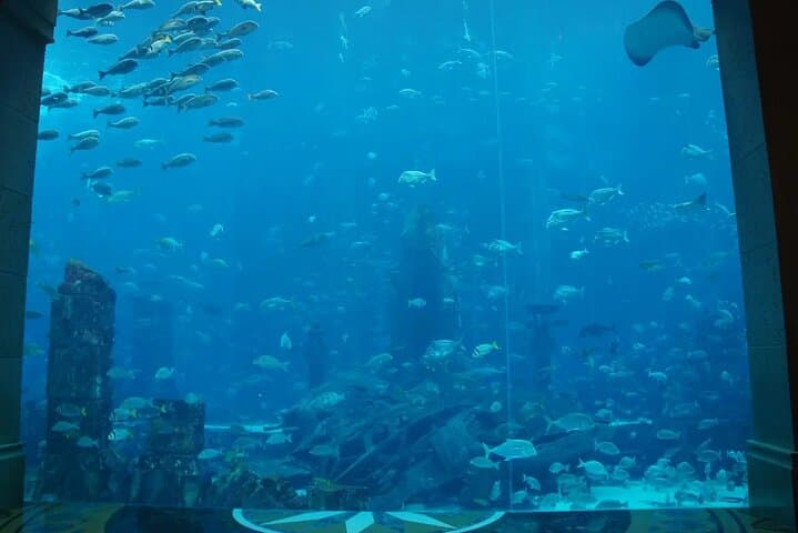 Aquaventure Waterpark & Lost Chambers Aquarium at Atlantis The Palm, Dubai photo 5