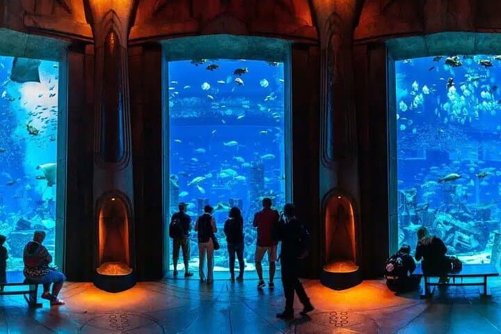 Aquaventure Waterpark & Lost Chambers Aquarium at Atlantis The Palm, Dubai photo 6