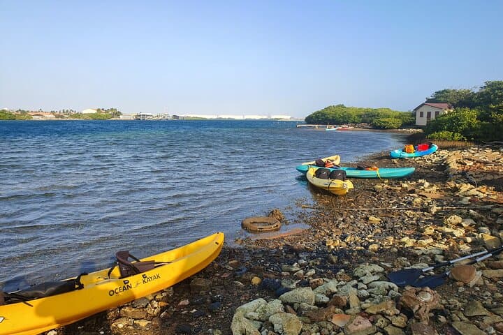 Paddle to Seaglass Island: Kayak Tour from Savaneta, Aruba photo 3
