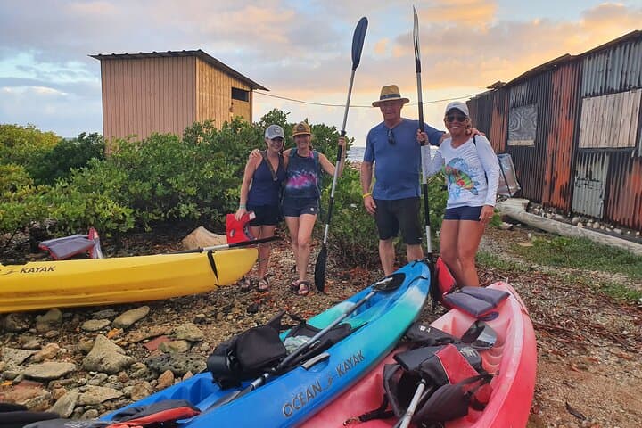 Paddle to Seaglass Island: Kayak Tour from Savaneta, Aruba photo 6