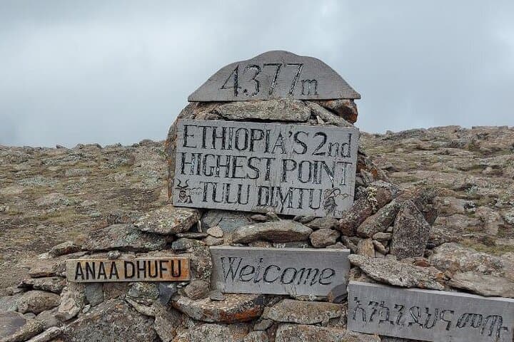 Bale Mountains 3-Day Scenic Driving Tour: Sanetti Plateau, Harenna Forest & Wildlife Camping photo 5