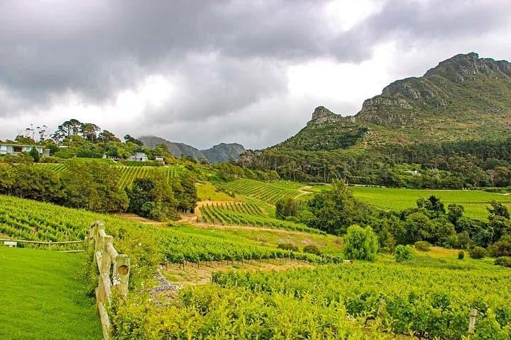 Full-Day Paarl Franschhoek Stellenbosch Private Wine Tour from Cape Town photo 1