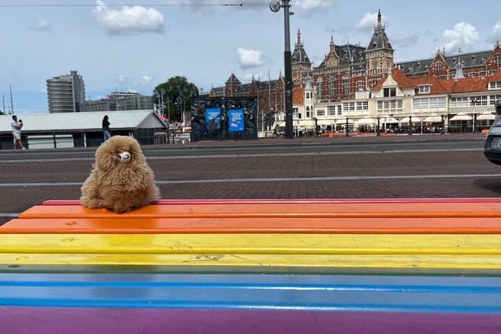 Zaanse Schans, Edam & Volendam Private Day Tour from Amsterdam — Windmills, Cheese and Coastal Streets photo 2
