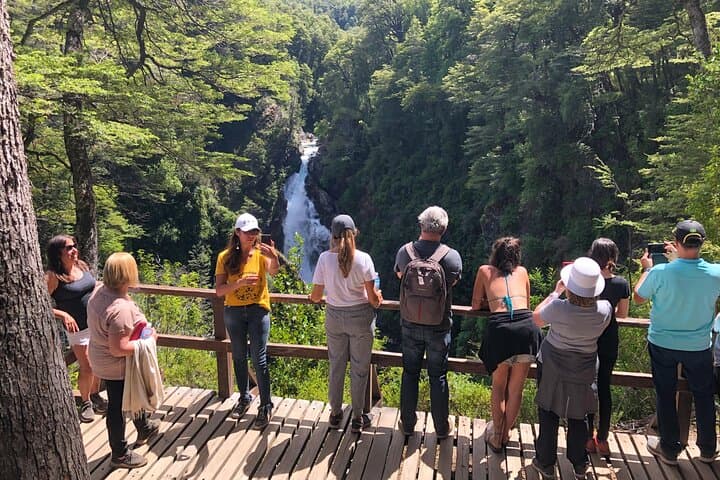Hua Hum Day Trip from San Martín de los Andes — Lanín National Park & Chachín Waterfall photo 3