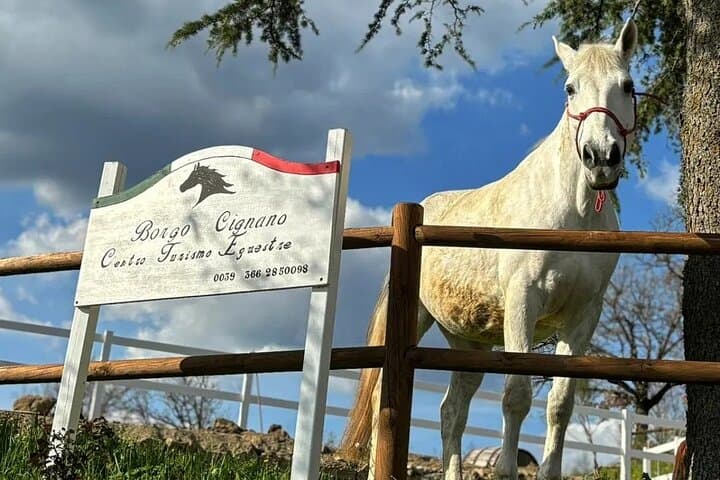 Horseback and Wine in Tuscany: Full-Day Ride to Dievole and Chianti Tasting photo 4